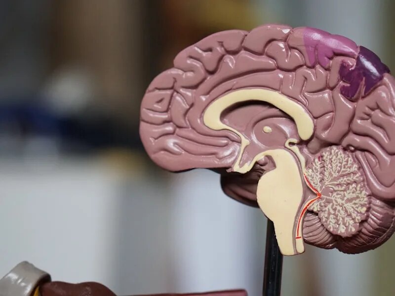 Memory Care Services in Frisco for Dementia and Alzheimer's